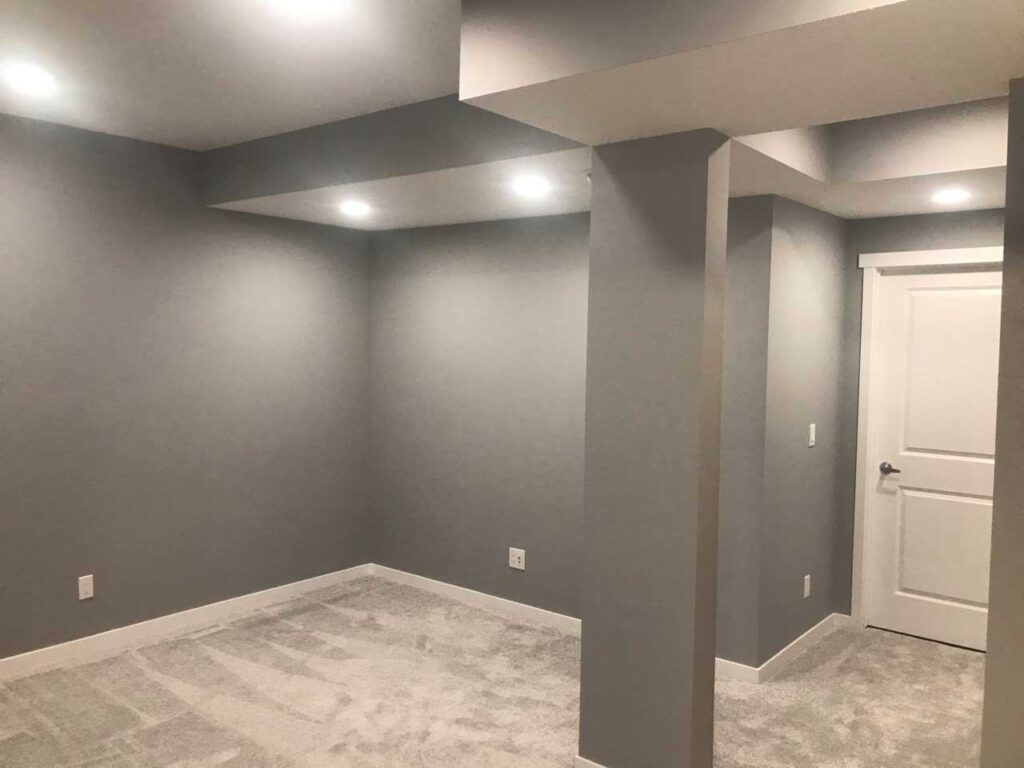 Professional Basement Renovation